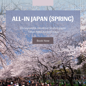 all in japan in spring time tour package
